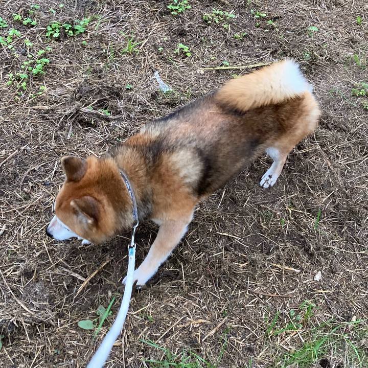 C427fc6c 2385 4449 b1d6 12d4e15ff7d8 1729844706428