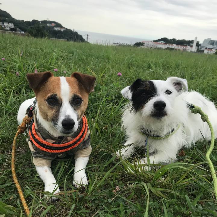 C4280e6a 798c 491d bd0a 84149970ed12 1528935275058