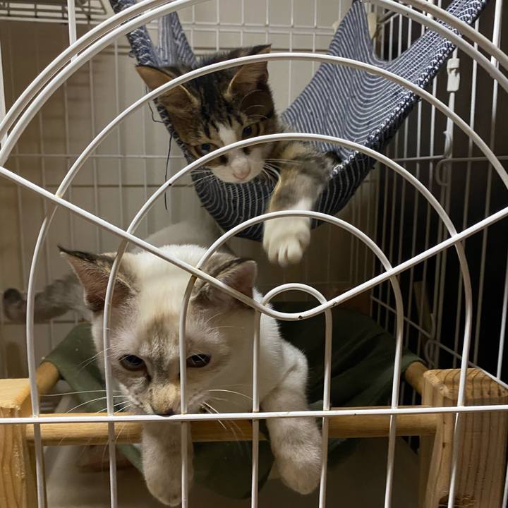 C4283dbf 26fe 4c2a 9afe edb2d50e10b2 1634464736015