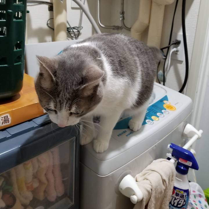 C4283e1e b266 4768 bd73 c5bc03f5aa51 1583051921731