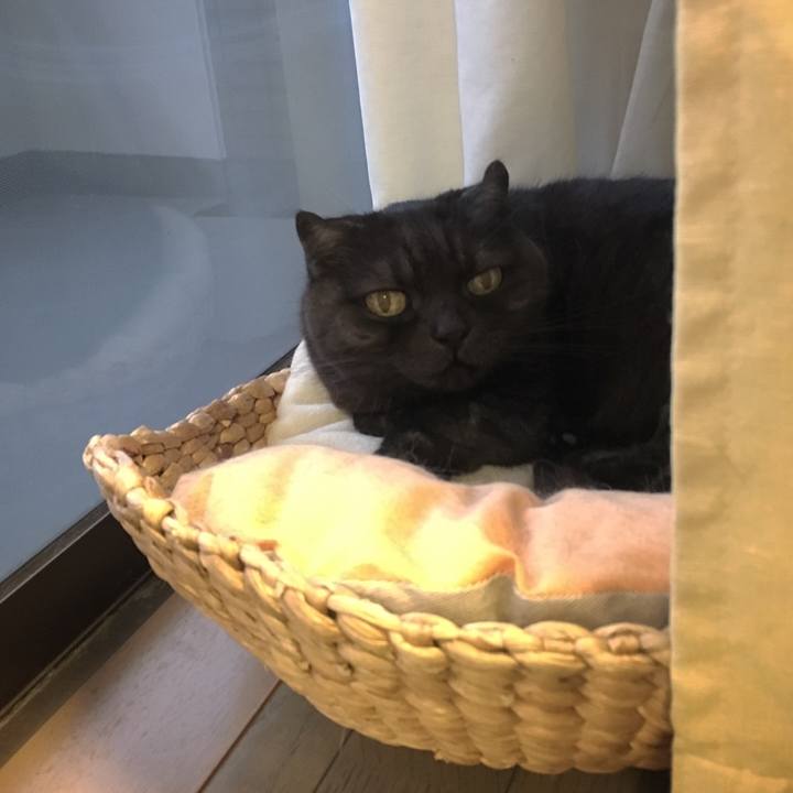 C42858ef 60c1 4d14 bdc0 e4bab8fa8af4 1556811115675