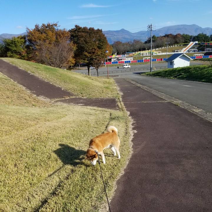 C4285d7a 3333 4add a72d fdb4c9eac0a1 1667195430141