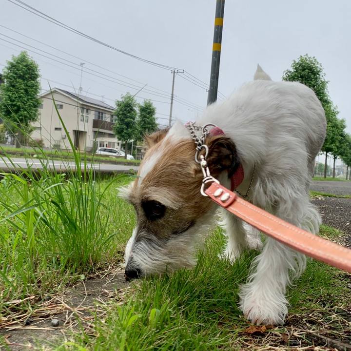 C42861fd 4ebf 42cf a8cc f4429e8084da 1625608486829