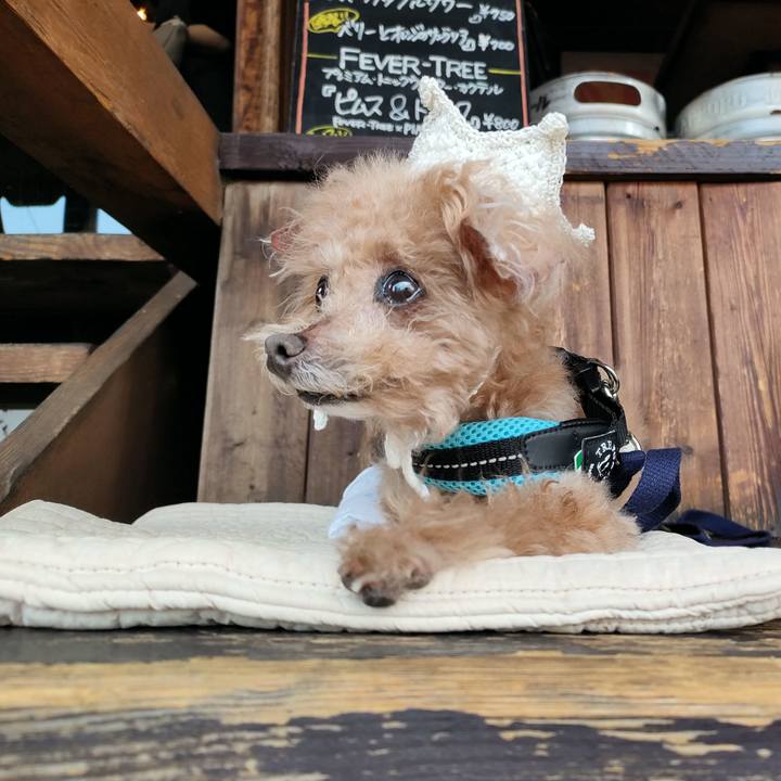 C4289f04 8394 4c80 9e84 d0ba2fc58820 1754814828306