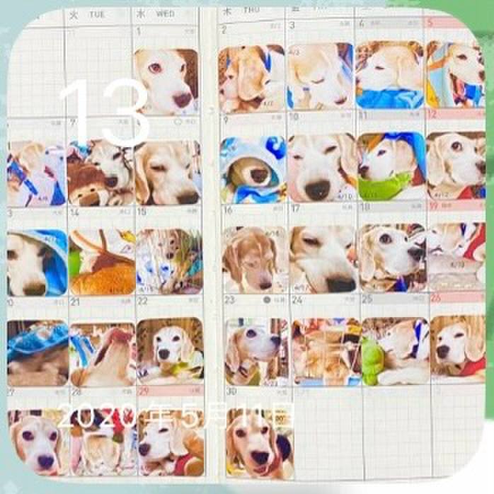 C428cd61 098c 410c 9b81 a3c1c54deb5d 1715558251581