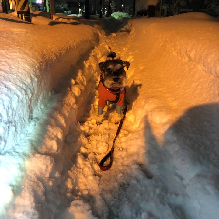 C428f7d8 b99c 45de 87d6 0f132bccfc5e 1613647580633