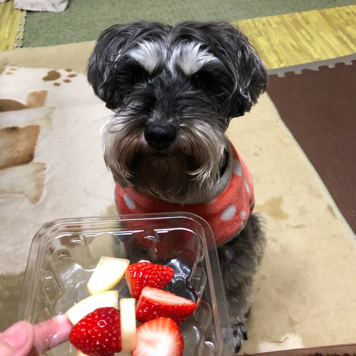 C428f80e 3472 4c82 b9ce 69be12df6bf3 1551435517007