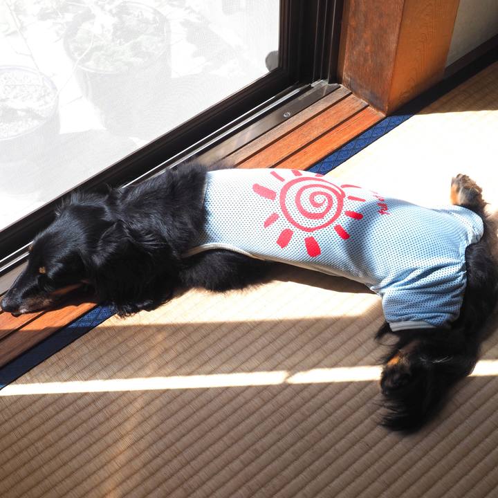 C429036f 9319 41f4 82eb 09f88006623d 1693111945452