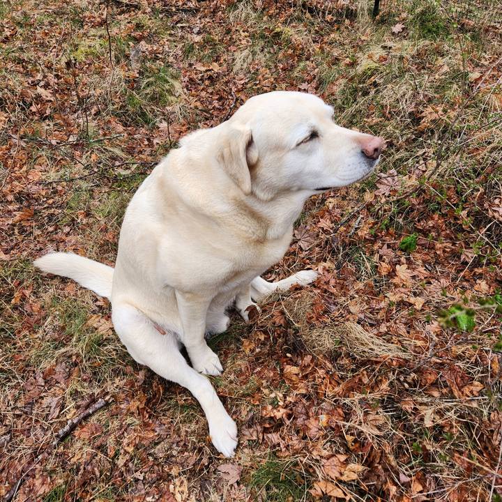 C4291276 a8fb 4a11 be1c a5bd72303d88 1746152482758