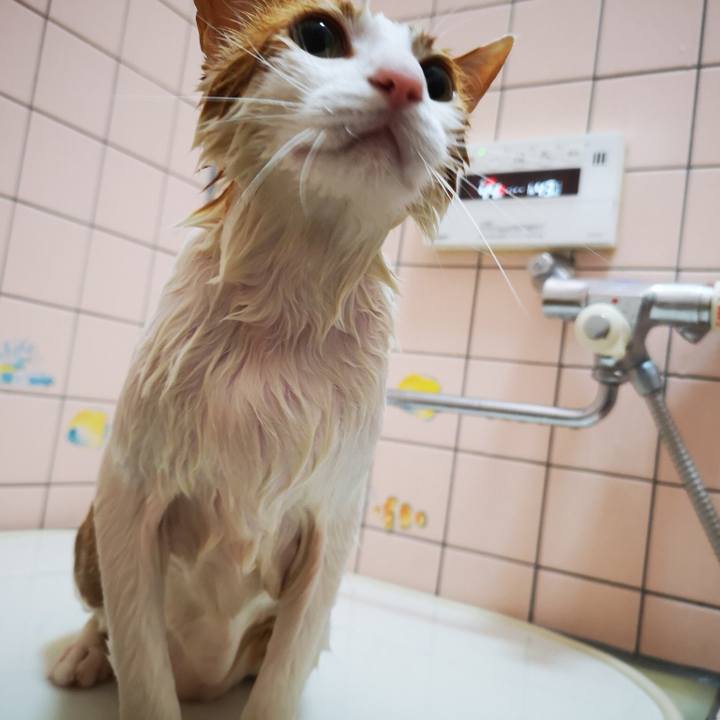 C4291618 20ba 4d25 951f b896c6156a60 1555244385962