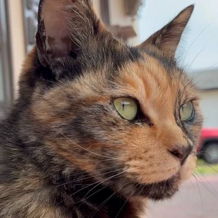 C4293394 3dd9 4fa9 b443 ac96600d4384 1747275102849