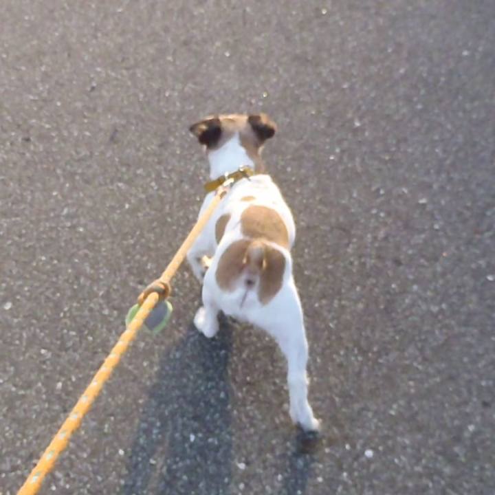 C429bb2a 9ff8 4f24 a3a5 c62d655832e9 1523959723003