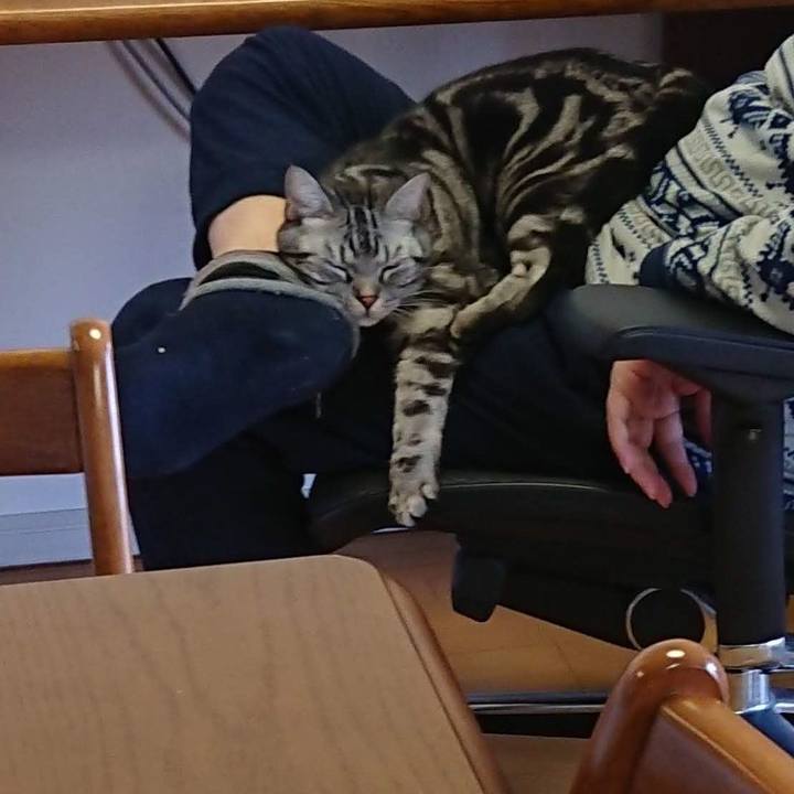 C429d62e ef50 419b 988d 82df236f7e98 1550529240938