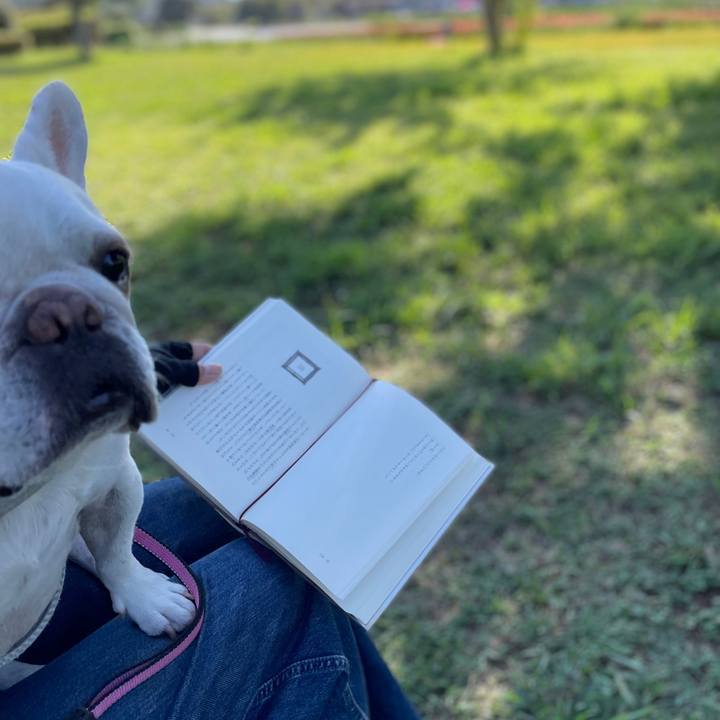 C429de76 5dbb 4de7 a40f f70a002cfdda 1757297863151