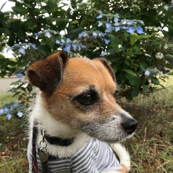 C429e217 5362 4bc8 893e f65151459c93 1527322262011