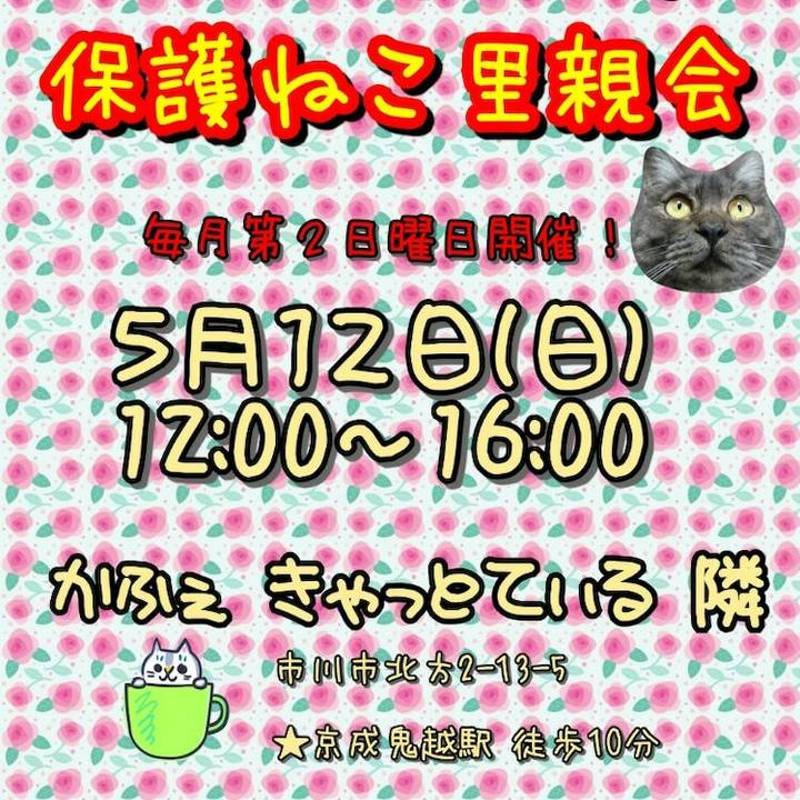 C429fe6d 7aa5 47fc b7af 4b41785c5c58 1557133110069