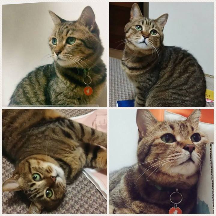 C42a7262 38e7 4efd a564 a7634ac96868 1513947334537