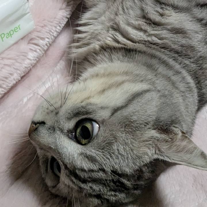 C42af156 8be8 4686 afa5 6a907c8bc581 1750339250962