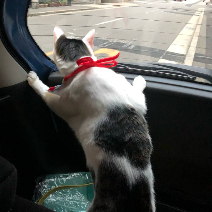 C42b3517 acda 46fb 873b bc166832b2d9 1578301634495