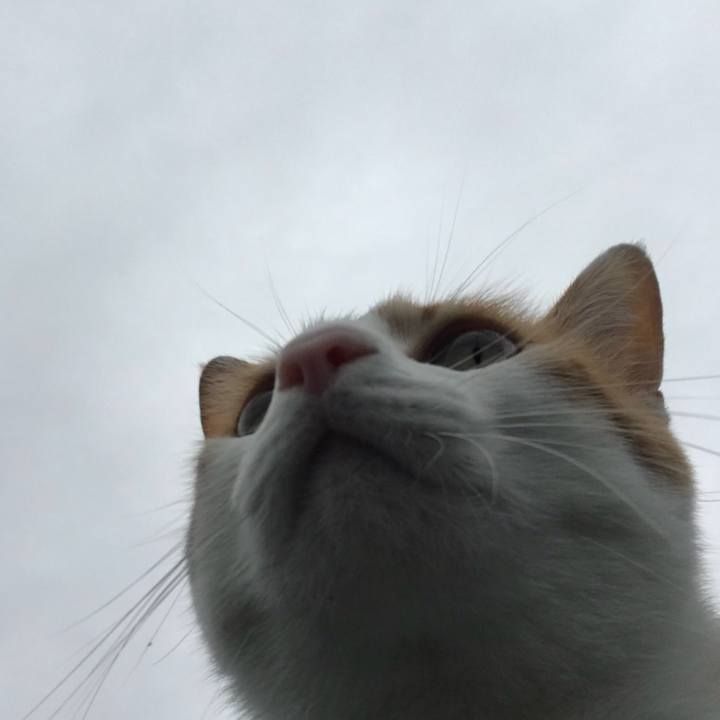 C42b7afa 0bf2 4a37 897d d11e098bda08 1508035159545