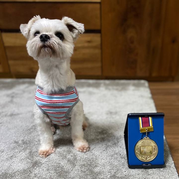 C42c1f7a 9006 466c b503 5698749a0e93 1603452165134