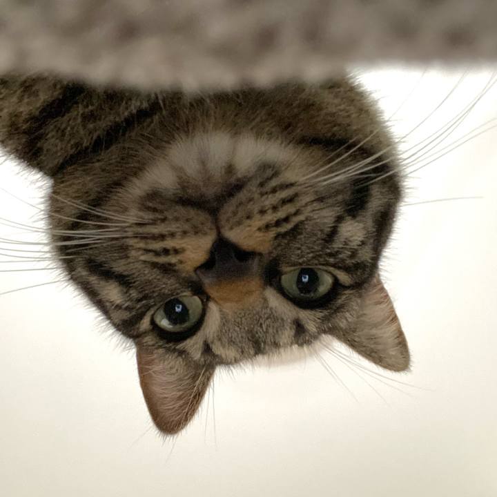 C42c23f4 0e62 4c31 82ae 9180425f23a6 1644731115367