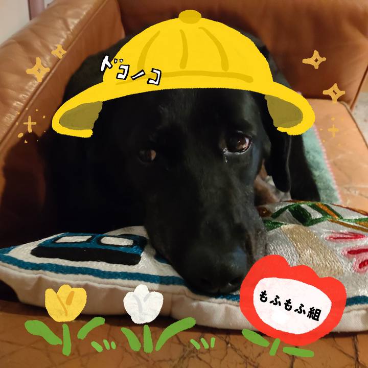 C42c372d b366 4113 a3dd 8b52068923d0 1712411699335