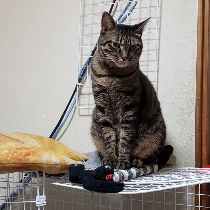 C42c39dd a251 45ba 9476 829f9a274007 1602295360158