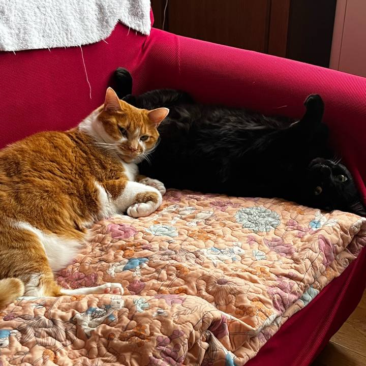 C42c459f 6440 444f 8074 c6569a264299 1728011645217