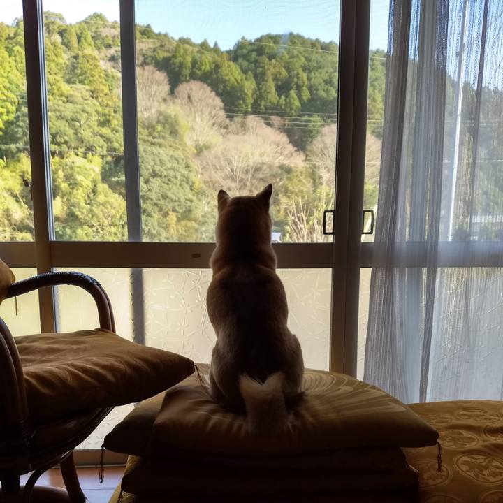 C42c6ce5 d010 44ab a704 ee89fb1a4685 1584434173642