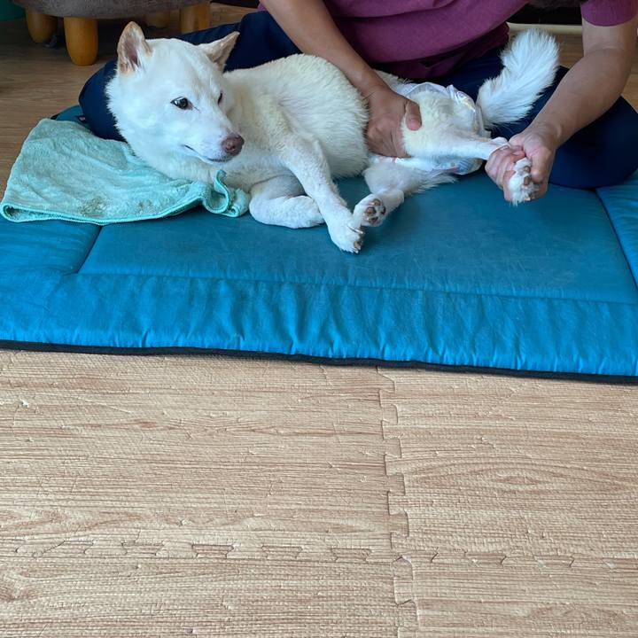 C42c70d6 1f82 4f00 8a90 994565425f43 1663679664820