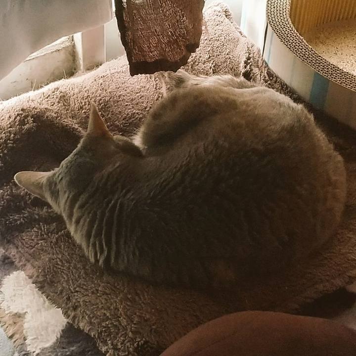 C42c913c d774 4c7e a0d8 140f31122315 1683927273511