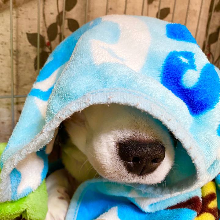 C42cc675 85d3 48cc b4c9 ce4e1fca7f80 1586403626214