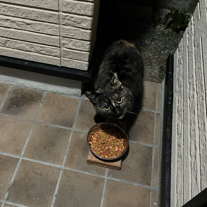 C42ccf0f 11dc 4dbc b708 531f36785407 1739916666199