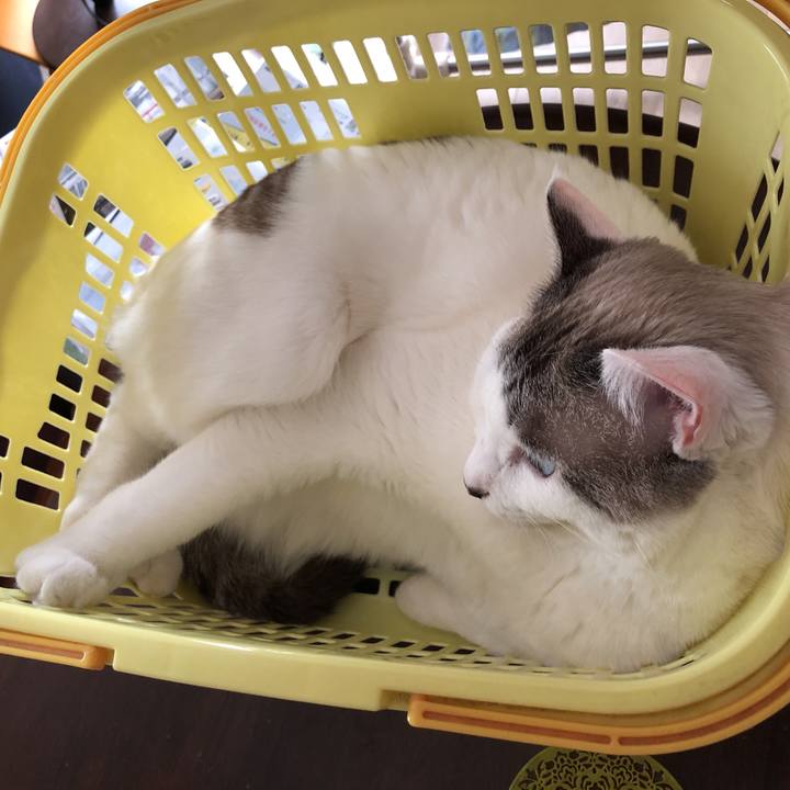 C42d2340 447e 47df 8319 d4acee19e59c 1575511154125