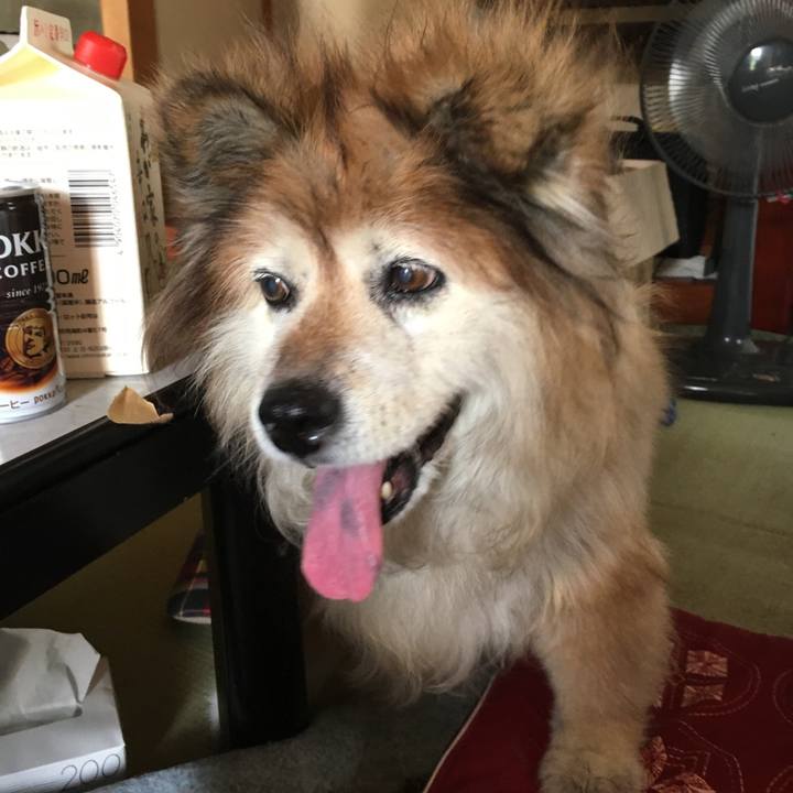 C42d44b2 9dee 4fb9 8630 db2467a815e6 1569589669950