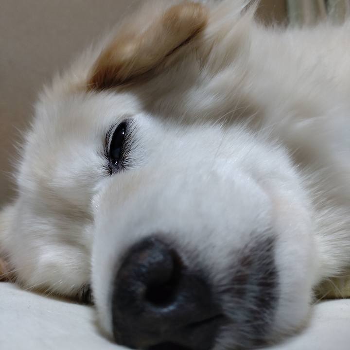 C42d4626 2519 46a2 b235 32502940aabb 1652216329631