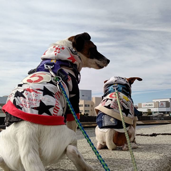 C42d4f85 3f65 479c 9ab4 b76d035dd80a 1643010113932