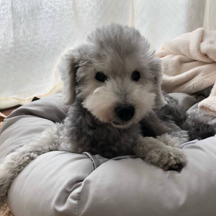 C42d92c7 6ce1 4267 8d1d 1fbb01d7e11e 1662173371014