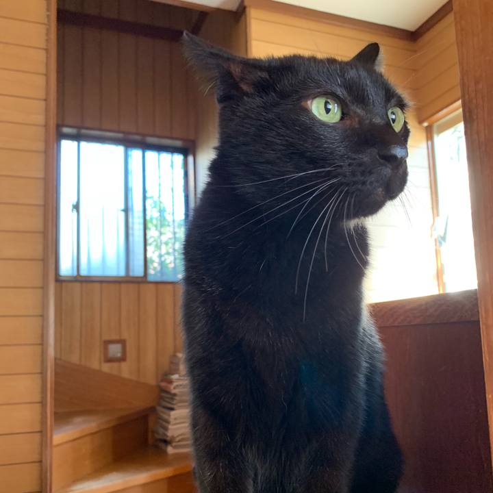 C42d969f 0f3a 4a20 a58b e3da64ae8b48 1538443217754