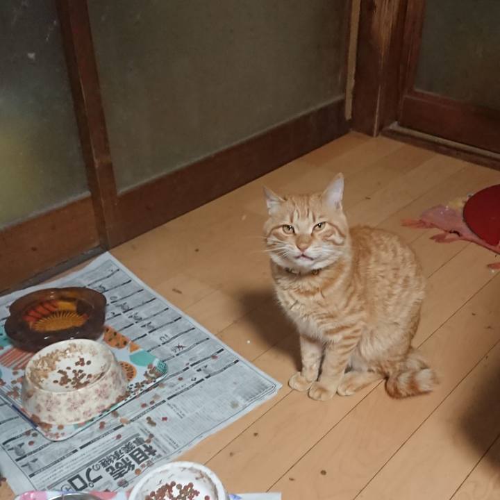 C42db4fd 5dfc 4094 9c63 dc88c629b62e 1651234067862