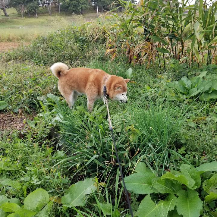 C42dbd61 6529 49d9 9d7c 26b9b608a822 1666069111738