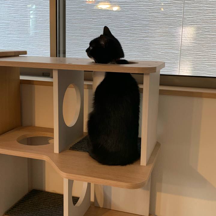 C42dccc0 82dd 47df 9bb9 beb0bd626767 1549337959248