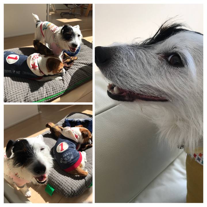 C42dcf2a fe89 40b3 a1ca 47ebb4449536 1519878627200