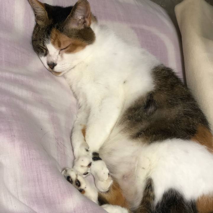 C42dd31d 0499 4728 bf3e 53855fbd0f36 1561894958506