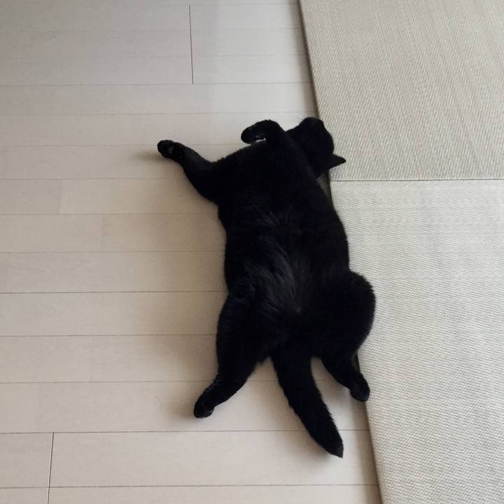 C42de9b2 ee15 4797 80d9 c02bbce28b0a 1536048881182