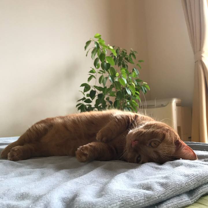 C42e1553 3f89 44a7 b959 d9f376c62e11 1533704962052