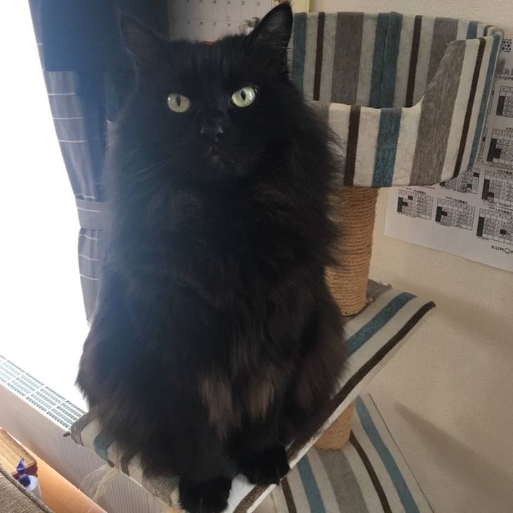 C42e4211 8850 4ec5 9eb1 9b8acd8d490f 1547535528081