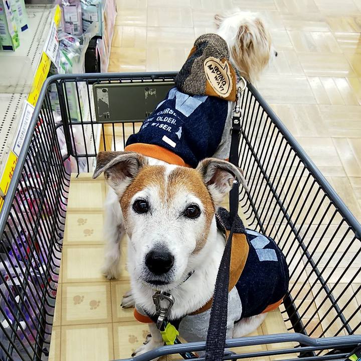 C42e8890 f15b 40a4 a866 ff72d615d06f 1547420900497