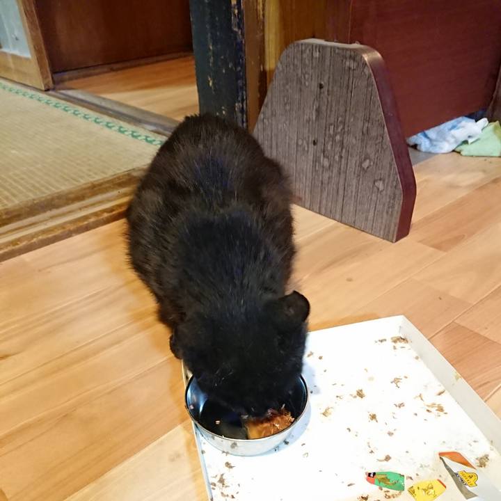 C42eb687 375c 409b 8a04 9d9710873e84 1624104365273